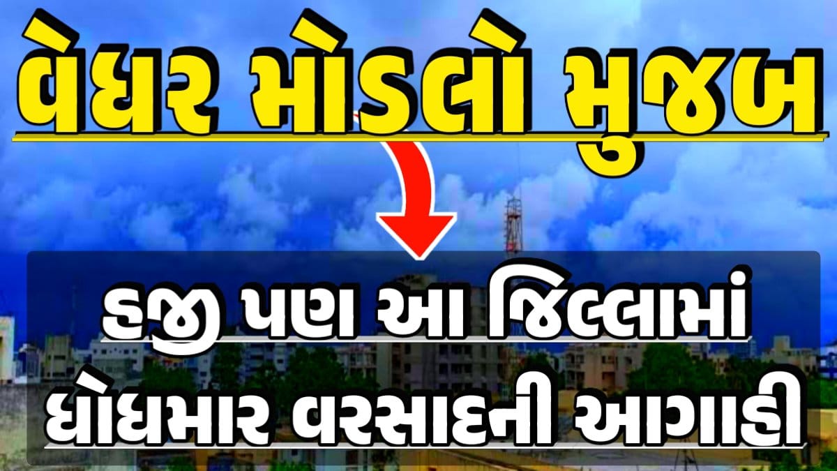 Weather Models Forecast: eavy Rain Forecast: Gujarat Rain Alert Gujarat Rain Forecast Whether News, વરસાદ આગાહી, અંબાલાલ પટેલ, પરેશ ગૌસ્વામી, હવામાનની આગાહી, Gujarat Rain forecast