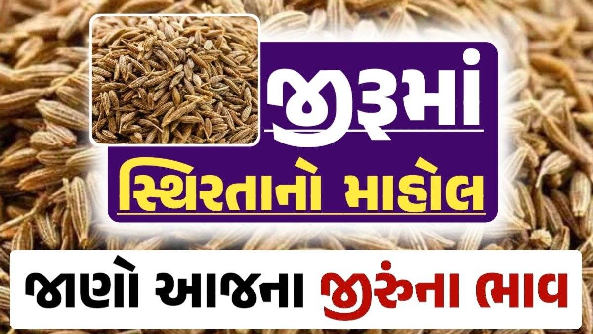 jiru Price 06-09-2024 આજના જીરૂના ભાવ, ઊંઝા જીરૂના ભાવ, Unjha Jeera Price, darkslateblue-finch-454985.hostingersite.com