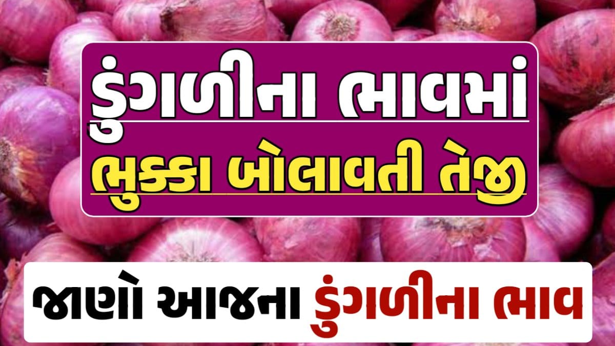 આજના ડુંગળીના ભાવ, ડુંગળી ભાવ, Onion Price 2024, ડુંગળીના ભાવ, ડુંગળીના બજાર ભાવ, Onion Rate, ડુંગળીના બજાર ભાવ 2024 darkslateblue-finch-454985.hostingersite.com