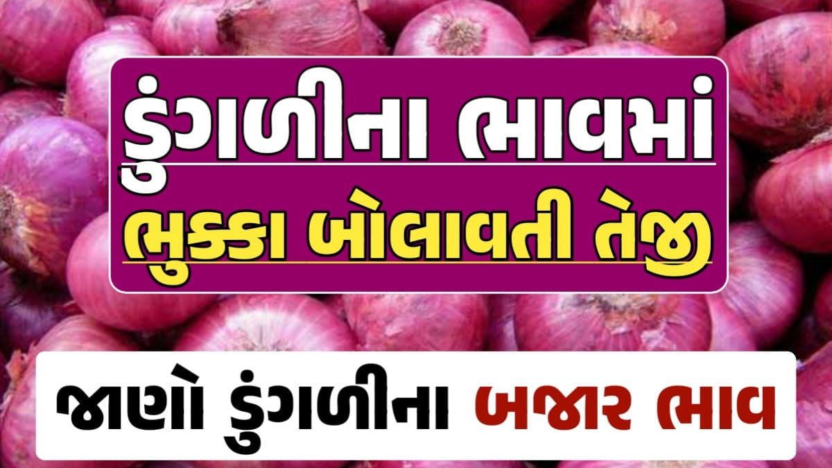 આજના ડુંગળીના ભાવ, ડુંગળી ભાવ, Onion Price 2024, ડુંગળીના ભાવ, ડુંગળીના બજાર ભાવ, Onion Rate, ડુંગળીના બજાર ભાવ 2024 darkslateblue-finch-454985.hostingersite.com