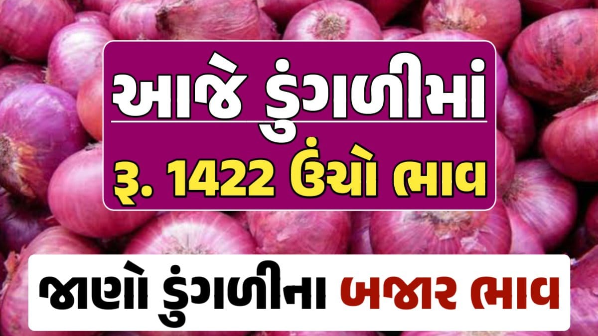 આજના ડુંગળીના ભાવ, ડુંગળી ભાવ, Onion Price 2024, ડુંગળીના ભાવ, ડુંગળીના બજાર ભાવ, Onion Rate, ડુંગળીના બજાર ભાવ 2024 darkslateblue-finch-454985.hostingersite.com