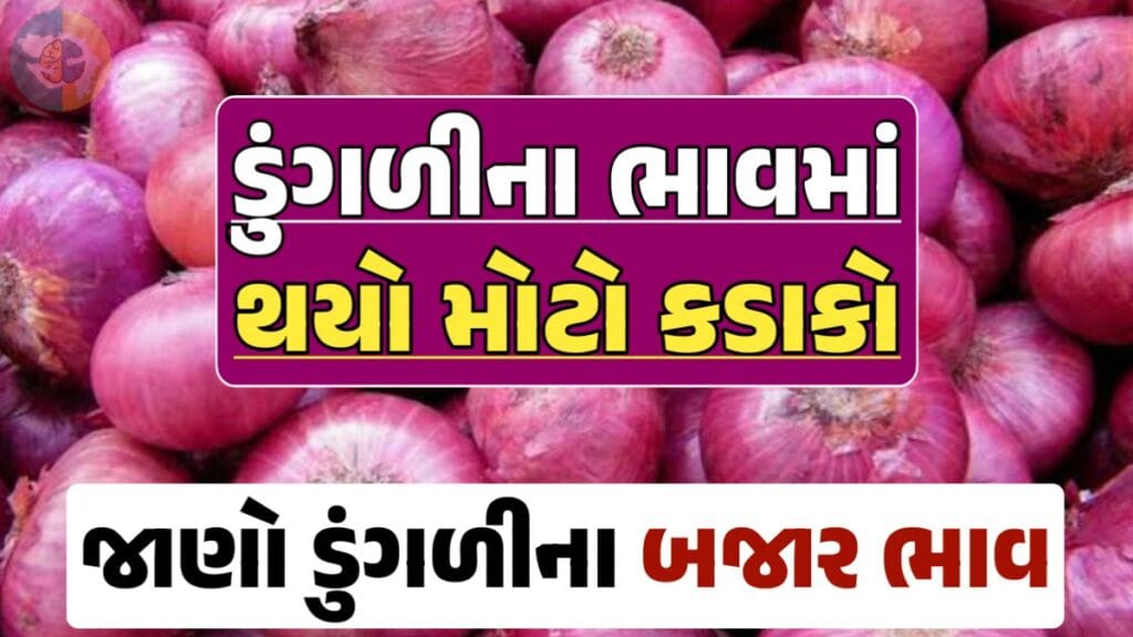 આજના ડુંગળીના ભાવ, ડુંગળી ભાવ, Onion Price 2024, ડુંગળીના ભાવ, ડુંગળીના બજાર ભાવ, Onion Rate, ડુંગળીના બજાર ભાવ 2024 darkslateblue-finch-454985.hostingersite.com